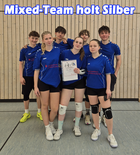 Volleyball Mixed-Team